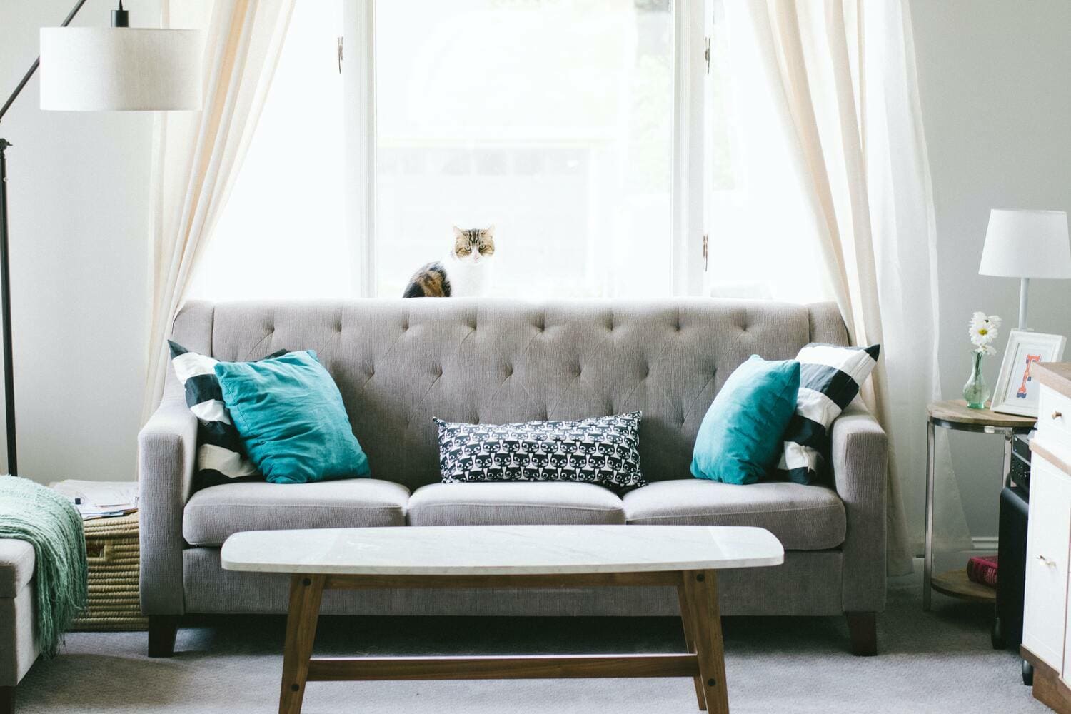 ¿Cómo elegir los cojines adecuados para mi salón?