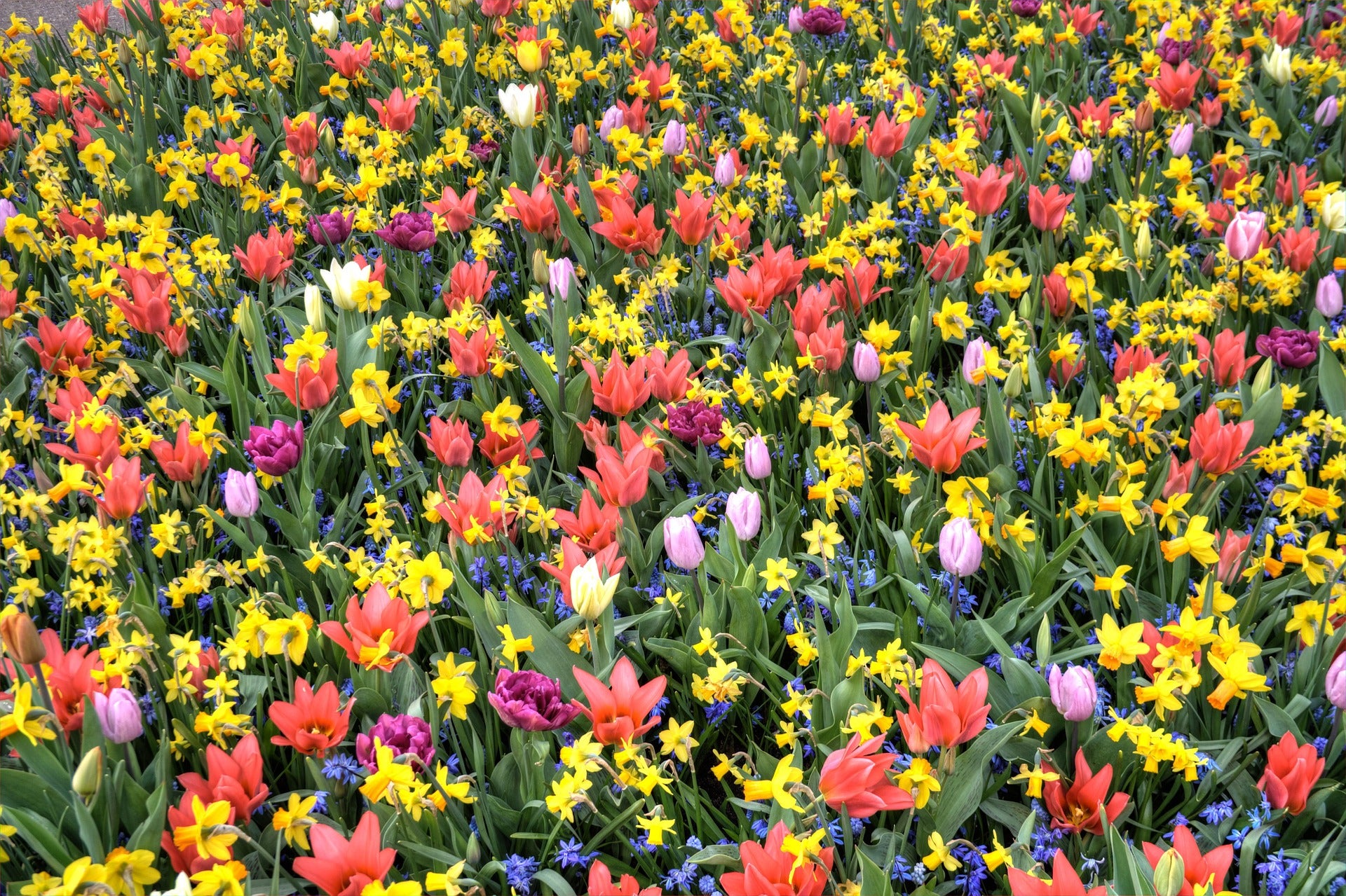 La primavera ha llegado para dar un aire de frescura y color a nuestro hogar