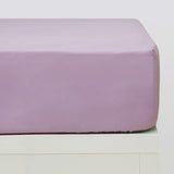 Draps-housses violet basic plus